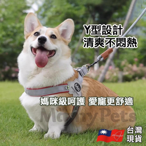 【??超快嚴選】寵物多層透氣Ｙ型胸背帶 反光 夜光 狗用胸背帶 胸背帶 Y字型胸背 快套式胸背帶 秒穿胸背帶 犬用胸背帶