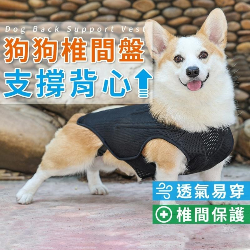 【台灣現貨】狗狗椎間盤支撐背心 寵物輔助 脊椎支撐背心 寵物背痛 關節炎 術後減緩疼痛背心 IVDD輔助護具 寵物衣服