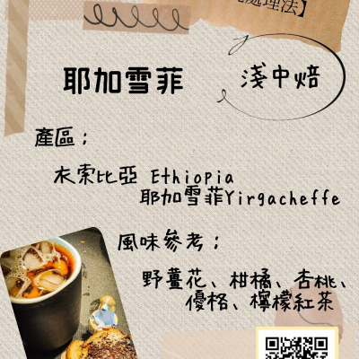 COSMOCAFE自家烘焙 衣索比亞 耶加雪菲