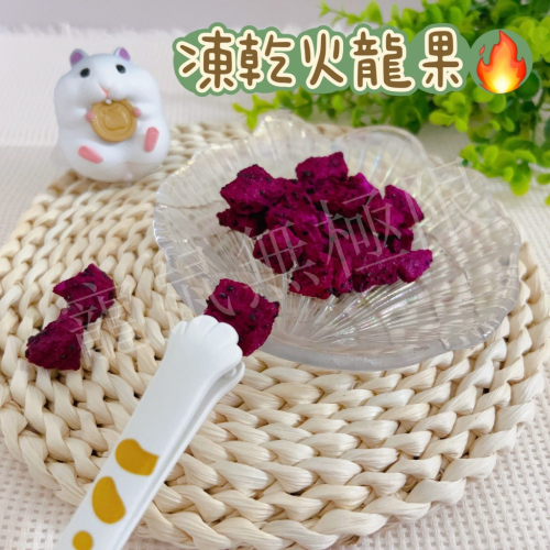 ✔️新品 倉鼠無添加火龍果乾10g 倉鼠火龍果乾 (倉鼠果乾/鼠鼠火龍果/倉鼠/三線鼠/黃金鼠/蜜袋鼯/睡鼠)