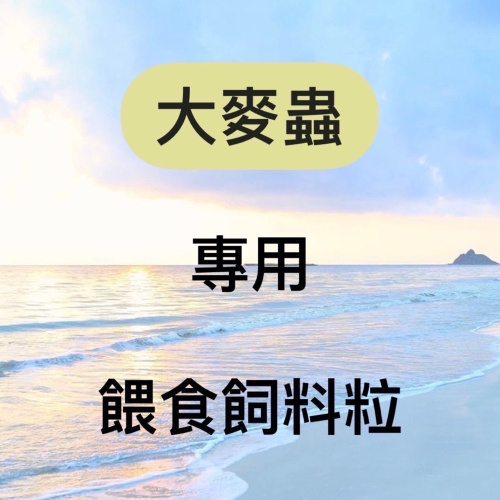 【蟑嘻嘻】大麥蟲餵食飼料粒/麥麩/麥片/水蒟蒻