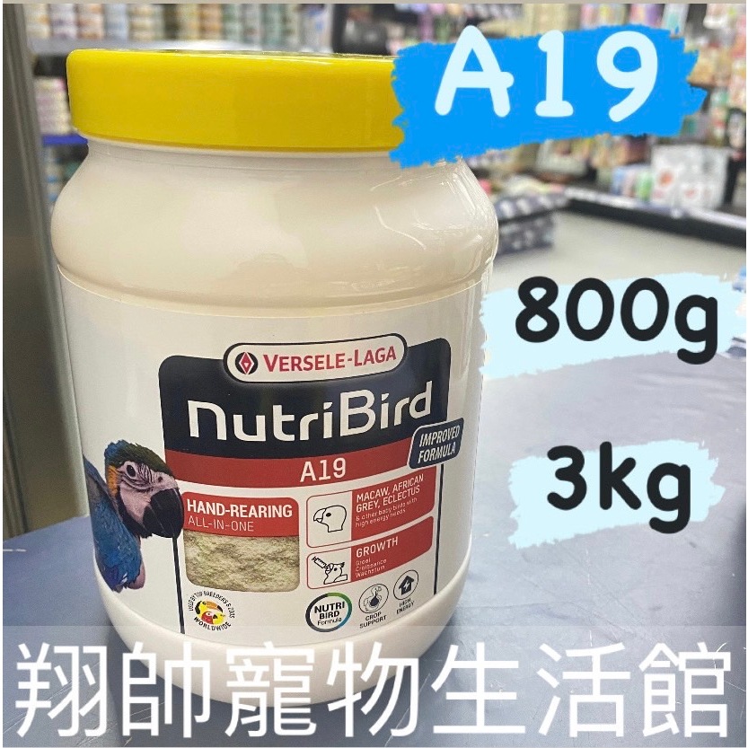實體門市｜比利時凡賽爾｜歐樂斯｜Nutribird-A19｜幼鳥奶粉｜中大型鸚鵡｜800G、3KG｜翔帥寵物生活館