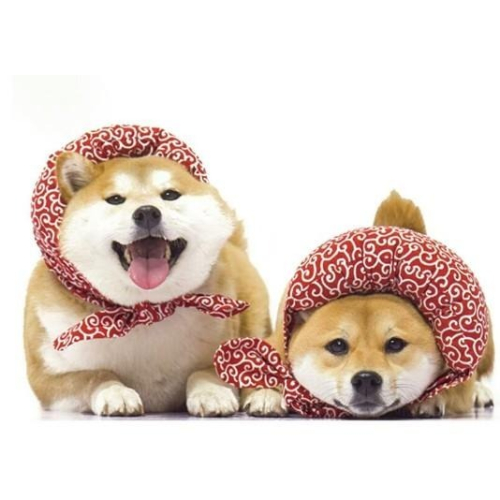 日本柴犬唐草風寵物飾品-離家出走小包袱