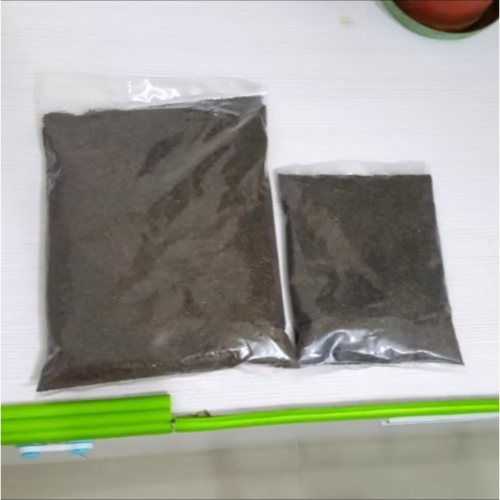 種子1000g