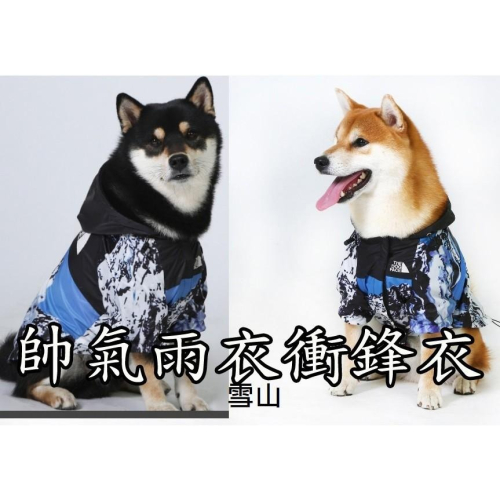 狗狗帥氣雨衣衝鋒衣 寵物雨衣 狗狗時尚衣服 平常沒下雨穿帥帥也可以