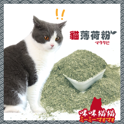 【24H出貨】貓薄荷粉 貓草粉 貓草 貓薄荷 貓零食 貓食 貓玩具 寵物零食 咪咪貓貓