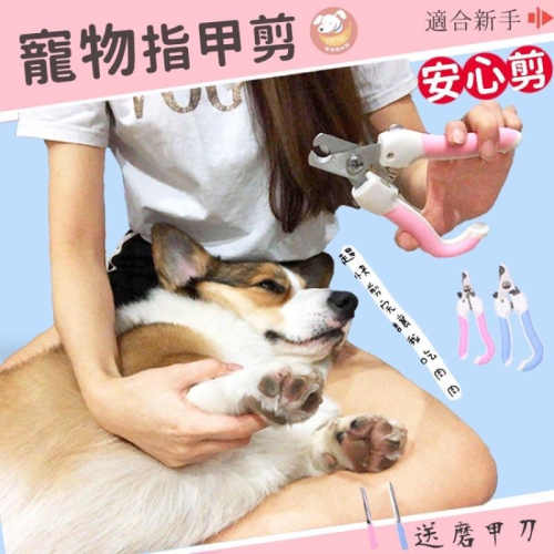 狗狗指甲剪+銼刀✂️ 狗狗指甲剪 寵物指甲剪 狗指甲剪 寵物剪指甲 寵物美容 狗狗剪指甲 寵物指甲刀寵物用品狗狗用品