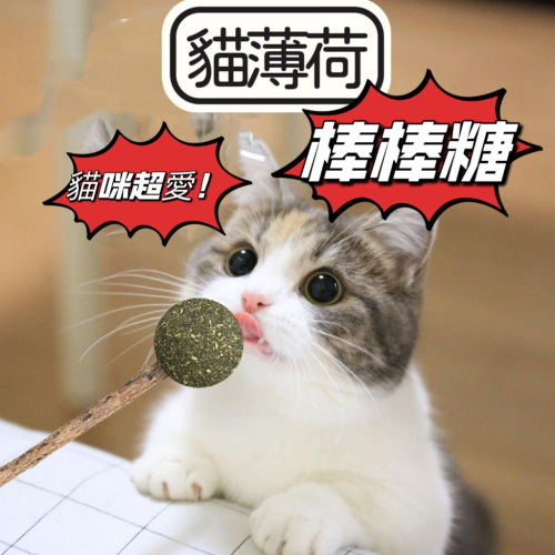 超便宜?造型薄荷棒棒糖-去毛球貓磨牙潔齒棒 貓咪玩具 寵物用品 舒緩神經 造型玩具 貓草玩具
