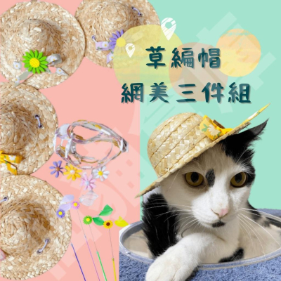 小雛菊寵物草帽 網美拍照三件組 貓狗通用 草帽項圈逗貓棒 變身裝可愛配件裝飾用品沙龍照項鍊搞怪寵物萬聖節 [仙貓倉庫]