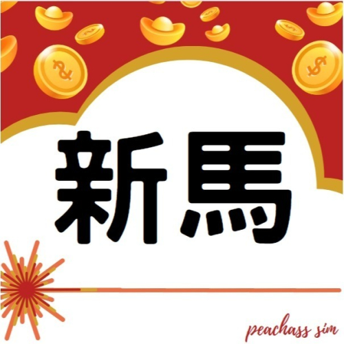 【新馬網卡】 新加坡 馬來西亞 高速4G 無限上網 新加坡網卡 馬來西亞網卡 隨插即用 星馬網卡 iphone