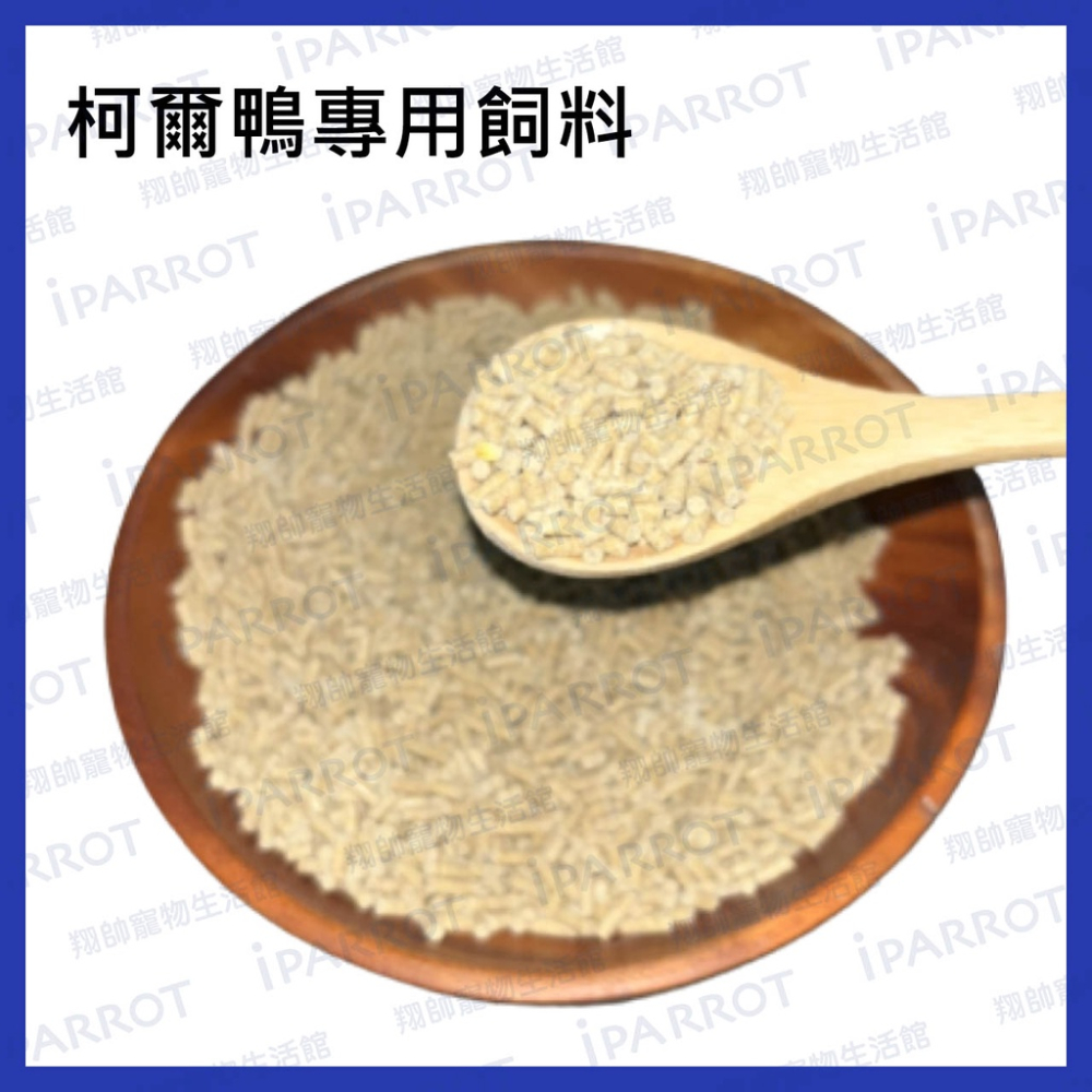 實體門市｜柯爾鴨專用飼料｜營養添加｜皮毛保健｜1斤｜成鴨｜幼鴨｜水禽｜成鵝｜幼鵝｜寵物鵝｜飼料｜翔帥寵物生活館
