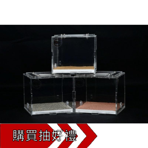 《E:巢》螞蟻寵物壓克力活動區 小型餵食區/螞蟻巢/養螞蟻/螞蟻飼料