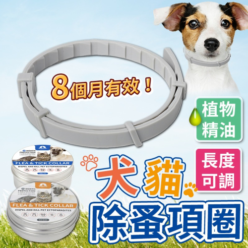 【台灣現貨】寵物驅蚤項圈 防蚤項圈 除蚤項圈 驅蟲項圈 防跳蚤項圈 除蚤 狗 貓防跳蚤用品 寵物項圈 除蟲項圈 防蟲項圈