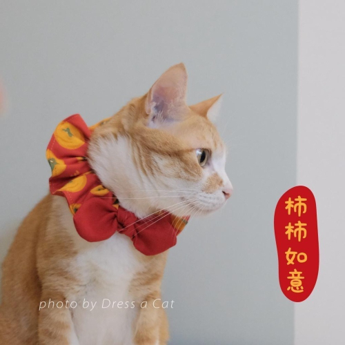 Cat Dress 貓手作 柿柿如意 貓項圈 領巾項圈 荷葉領巾 貓 寵物 項圈 布項圈 手作項圈