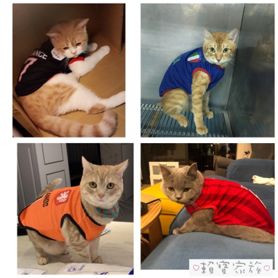 台灣現貨 寵物衣服 小狗背心 中型犬 小型犬 小狗衣服 狗衣服 貓咪衣服 春夏薄款 狗狗衣服 S~XL全新現貨