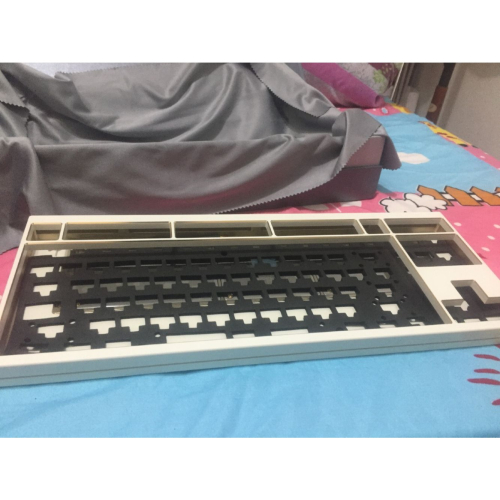 風信子v1 100顆