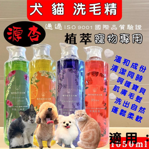 ?妤珈寵物店?超大容量《源杏 植萃 防蚤蝨 1050ml/瓶》滋潤型 泡沬柔細 好沖洗 台灣製 犬 貓 洗毛精 舒威特