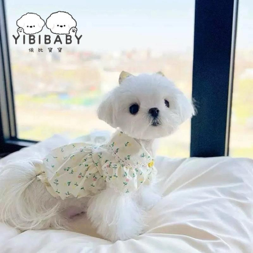 小花花小碎衣~