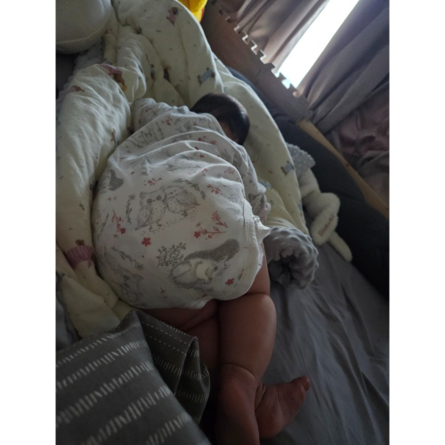 防撞貓