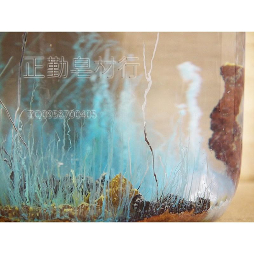 化學珊瑚.化學花園材料組-小-正勤含稅2600060