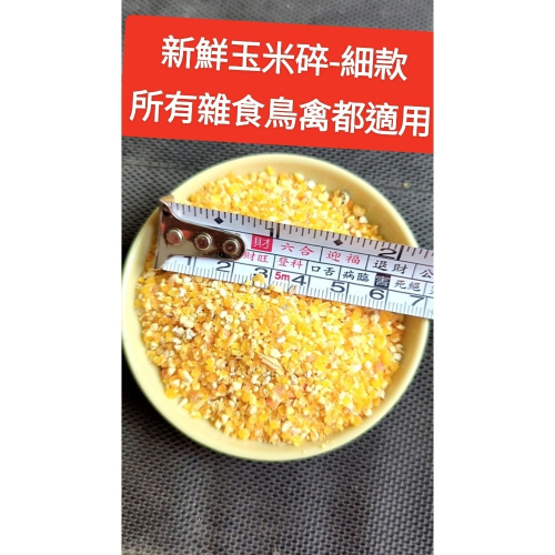 苗栗新鮮現貨碎非基因改造玉米粒、飼料玉米碎（細）、成雞飼料小雞飼料、科爾鴨、成鴨飼料、鵝、鸚鵡、鴿子、倉鼠飼料、玉米粉