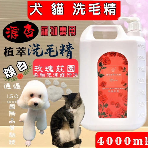 超大容量?妤珈寵物店?源杏 寵物專用 洗毛精 玫瑰莊園 4000ml/瓶《 煥白系列》犬 貓 狗 專用 沐浴露 沐浴乳