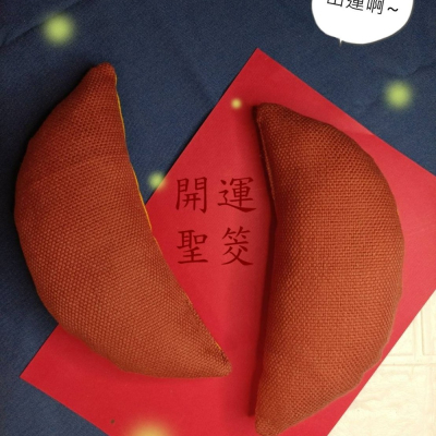 問事囉~擲筊貓草玩具
