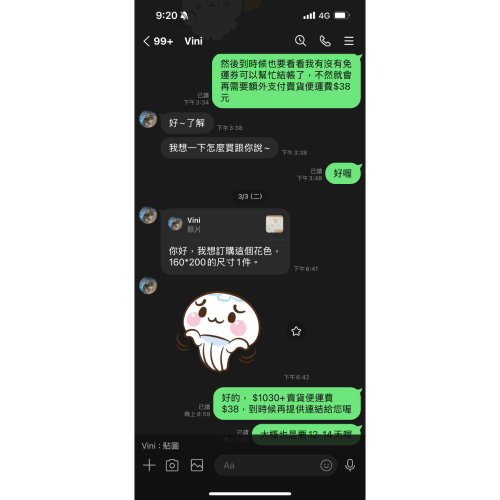 地墊160*200（vini)