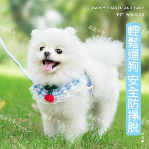 寵愛毛宅 寵物牽引繩 狗狗胸背 貓咪胸背 遛狗繩 中小犬狗繩 胸背 狗鏈子 狗繩子