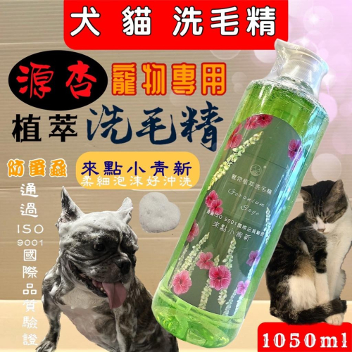 超大瓶?妤珈寵物店? 源杏 洗毛精 來點小青新 防蚤蝨系列 1050ml/瓶《犬 貓 狗 專用》寵物專用 沐浴 乳 露`