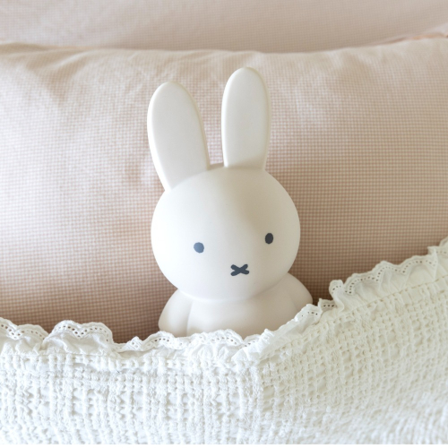 Miffy 米菲兔莫蘭迪色系款公仔存錢筒-中號 大地色