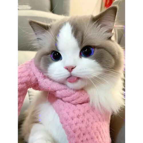 隱藏版