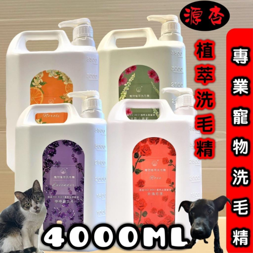 ?妤珈寵物店?超大容量《源杏 植萃 來點小青新4000ml/瓶》滋潤型 泡沬柔細 好沖洗 台灣製 犬 貓 洗毛精 舒威特