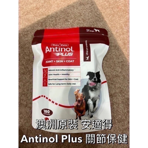 效期2027/04 澳洲版 安適得 antinol 180顆