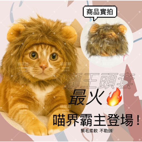 【台中現貨】超萌?熱賣 寵物變裝 貓帽子 可愛獅子頭套