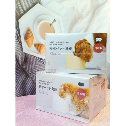 [日貨噗噗購](現貨)日本製 Hachi 寵物(貓/狗)碗