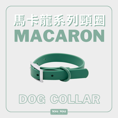 【 馬卡龍頸圈牽繩套組】 馬卡龍顏色 多巴胺色系 外出 游泳 PVC 耐髒
