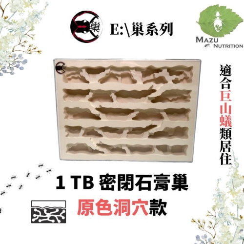 E:巢洞穴系列 1TB密閉石膏巢/養螞蟻/螞蟻巢/螞蟻飼料