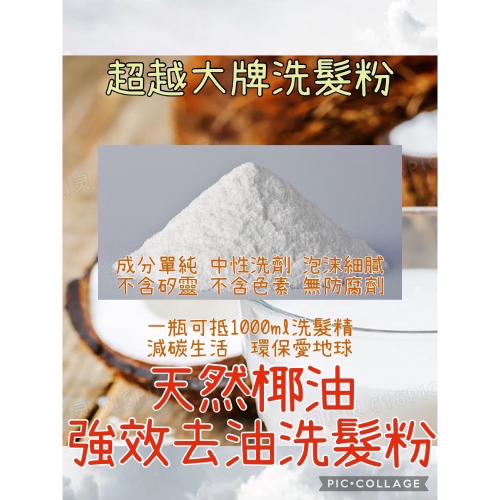 ?洗完超清爽? 椰油植萃全能粉 涼感/咖啡因 台灣製 無矽靈 無香環保 車宿露營 溫泉 游泳 玩水 歐洲出國很耐斯