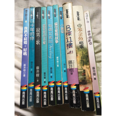 二手 藤井樹 網路小說作品集 我們不結婚好嗎/貓空愛情故事/