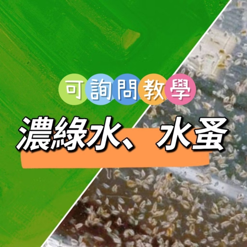 滿滿 水蚤600ml50元買五送一，濃綠水600ml25元