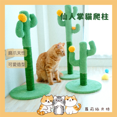【現貨+實拍】 仙人掌貓爬柱