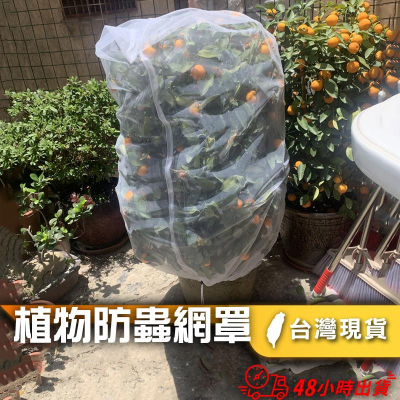 【小魚生活館台灣現貨】植物防蟲網罩 景觀植物 超大號防蟲網袋束口花果防蟲網 快速出貨