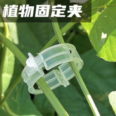 【小魚生活館台灣現貨】瓜果植物固定夾 蔬菜番茄藤蔓類植物 快速卡扣 園藝用品 菜園蔬菜種植植物