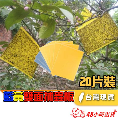 20片【小魚生活館台灣現貨】黃藍兩色黏蟲板 誘蟲板 抓果蠅蒼蠅小飛蟲 園藝用品菜園果園 庭院農作物