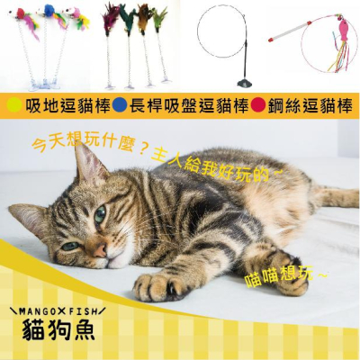 台灣現貨 ? 鋼絲逗貓棒 長桿吸盤逗貓棒 吸地逗貓棒 逗貓棒 貓玩具 鋼絲 長桿 吸盤 吸地 貓 玩具 羽毛 老鼠 小魚