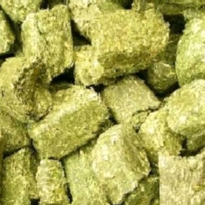 苜蓿+提摩西 草磚