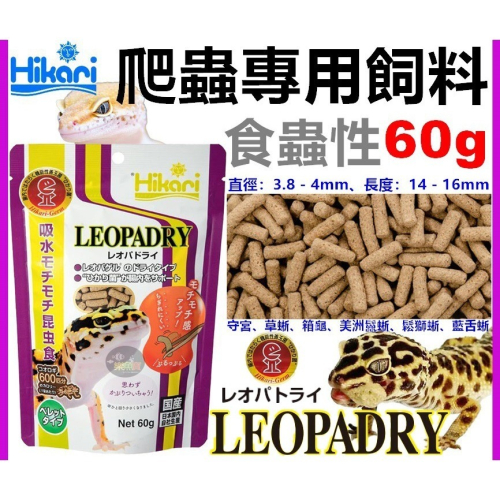 日本 Hikari 高夠力 爬蟲專用顆粒飼料 食蟲性 60g 守宮飼料 豹紋守宮 日本草蜥 箱龜 鬆獅蜥睫角