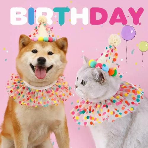 寵愛毛宅 寵物項圈 寵物生日帽 寵物生日項圈 貓咪生日項圈 狗狗生日項圈 貓咪生日帽 狗狗生日帽 寵物生日用品 生日裝扮