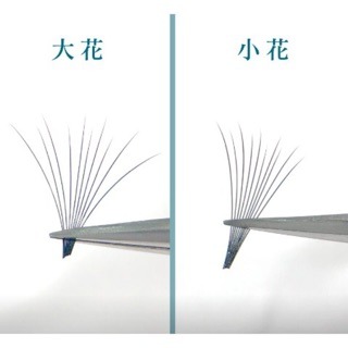 現貨 快速開花 極秒睫毛 開花毛 0.07/0.05/0.03 JOVISA 12D 美睫材料 小紅書 雙層睫毛 美睫娜